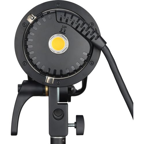 Godox AD - H600P H600P 600W Flash Head Portable Extension Head for AD600 Pro AD600Pro II AD600BM II Fash Head, for Flashpoint XPLOR600 PRO (Bowens Mount) - Letwell