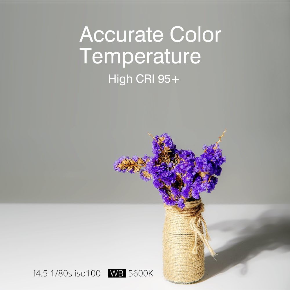 Godox SL - 60W 60W CRI95+ Qa>90 5600±300K Bowens Mount Led Continuous Video Light, Brightness Adjustment, 433MHz Grouping System, for Video Recording,Wedding, Outdoor Shooting - Letwell